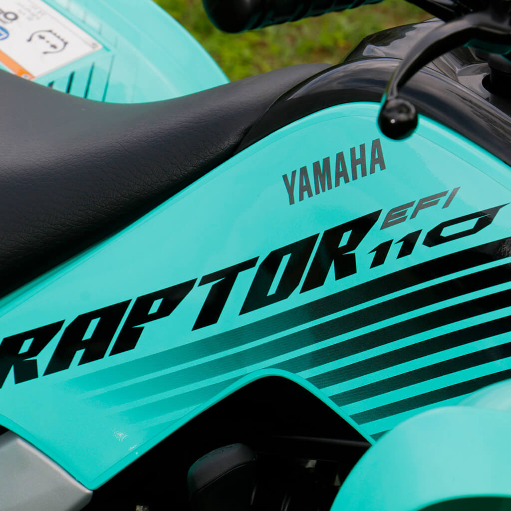 YFM110R carrusel (3)